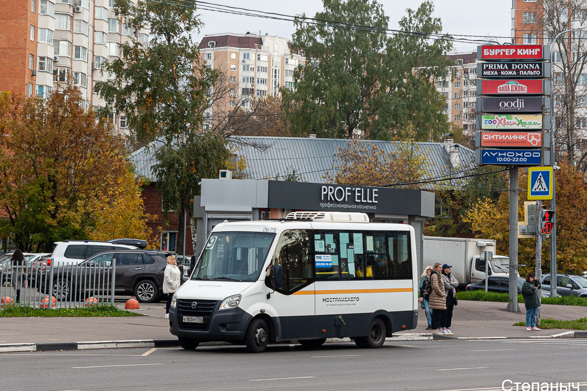 Московская область, Луидор-2250DS (ГАЗ Next) № 3251