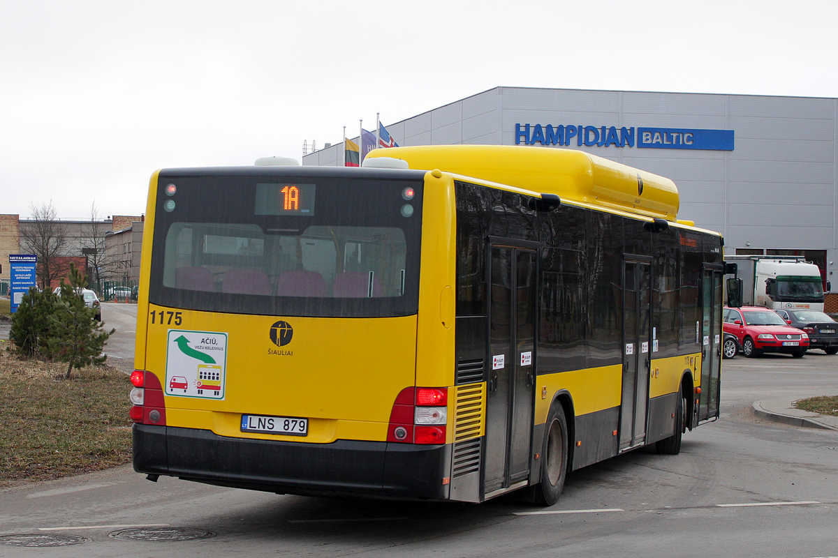 Lietuva, MAN A21 Lion's City NL243 CNG Nr. 1175