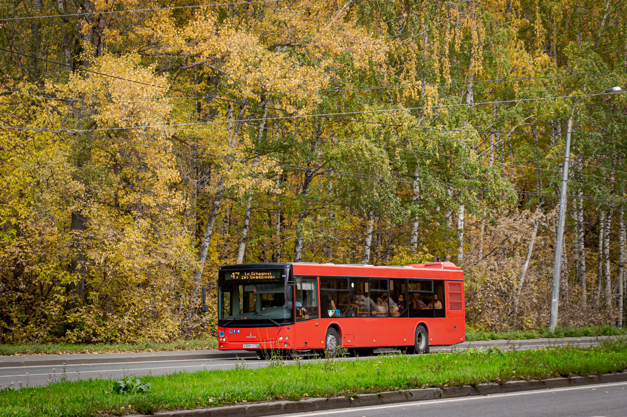 Татарстан, МАЗ-203.069 № 04700