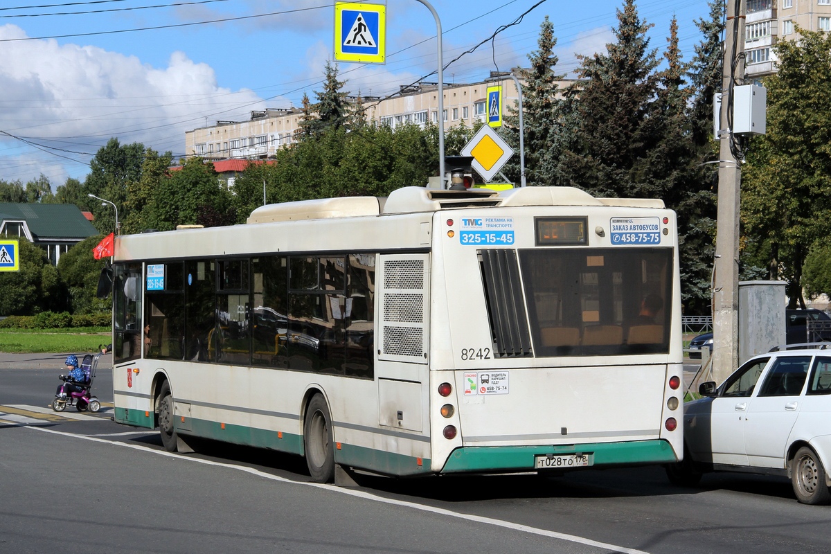 Санкт-Петербург, МАЗ-203.085 № 8242