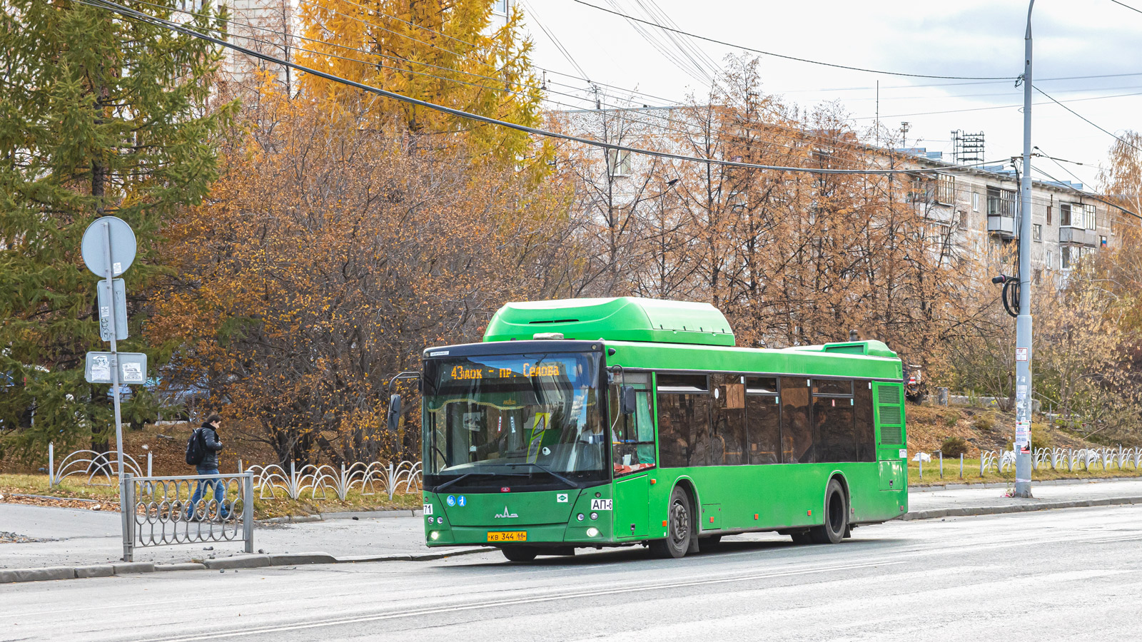 Свердловская область, МАЗ-203.L65 № 1771