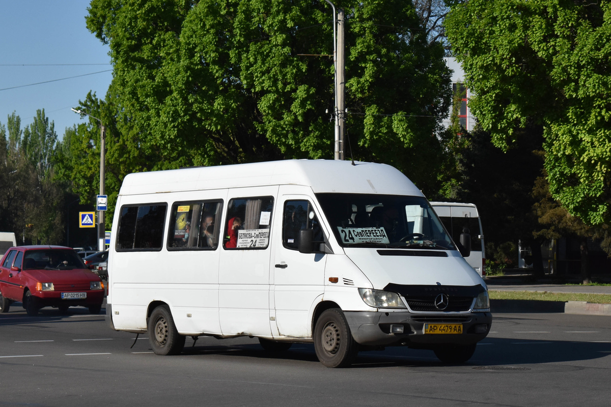 Запорожская область, Mercedes-Benz Sprinter W903 308CDI № AP 4479 AA