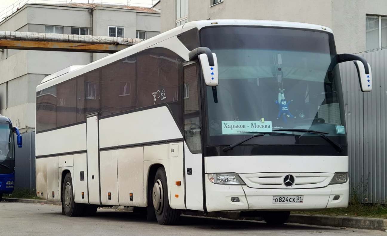 Белгородская область, Mercedes-Benz O560RHD Intouro RHD № О 824 СХ 31