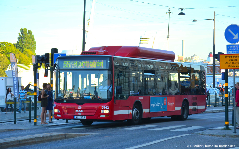 Швеция, MAN A21 Lion's City NL243 CNG № 7442