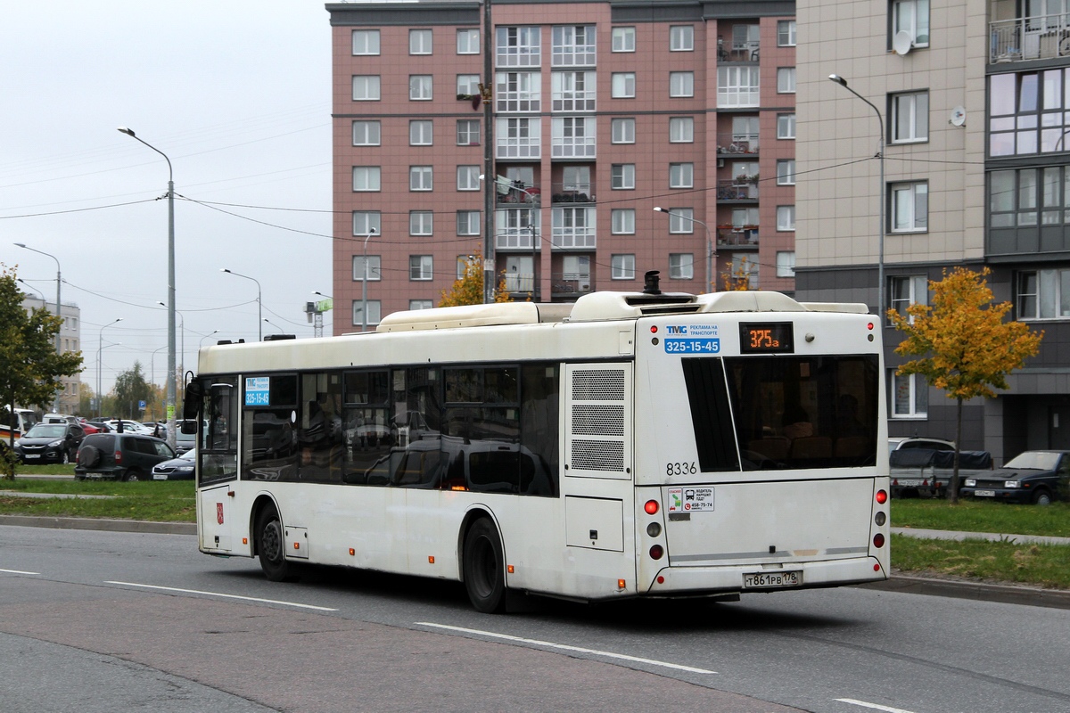 Санкт-Петербург, МАЗ-203.085 № 8336