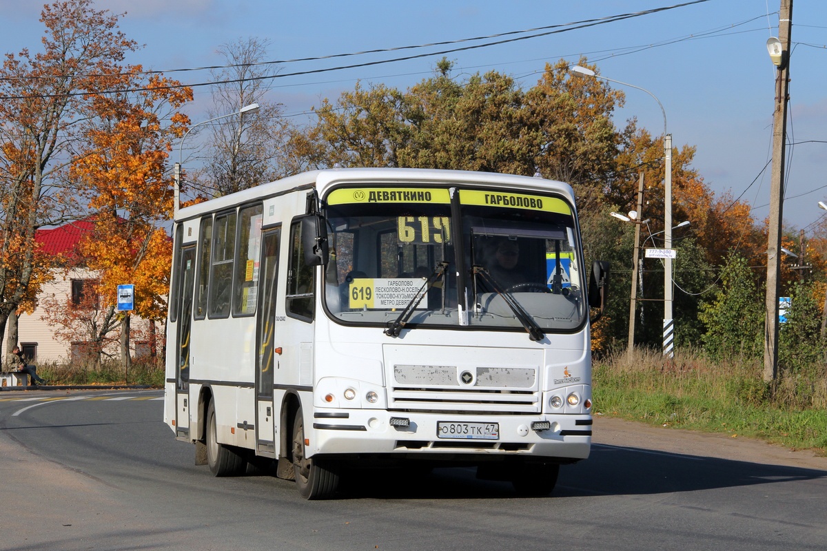 Ленинградская область, ПАЗ-320402-05 № О 803 ТК 47