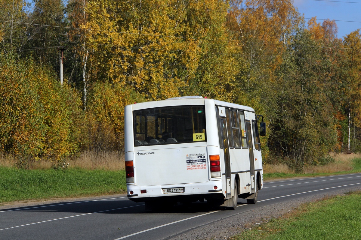 Ленинградская область, ПАЗ-320402-05 № О 803 ТК 47