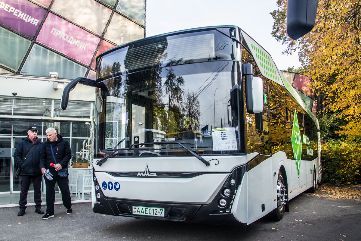 Минск, МАЗ-303.E10 № АА Е012-7; Киев — City Trans & Parking 2021