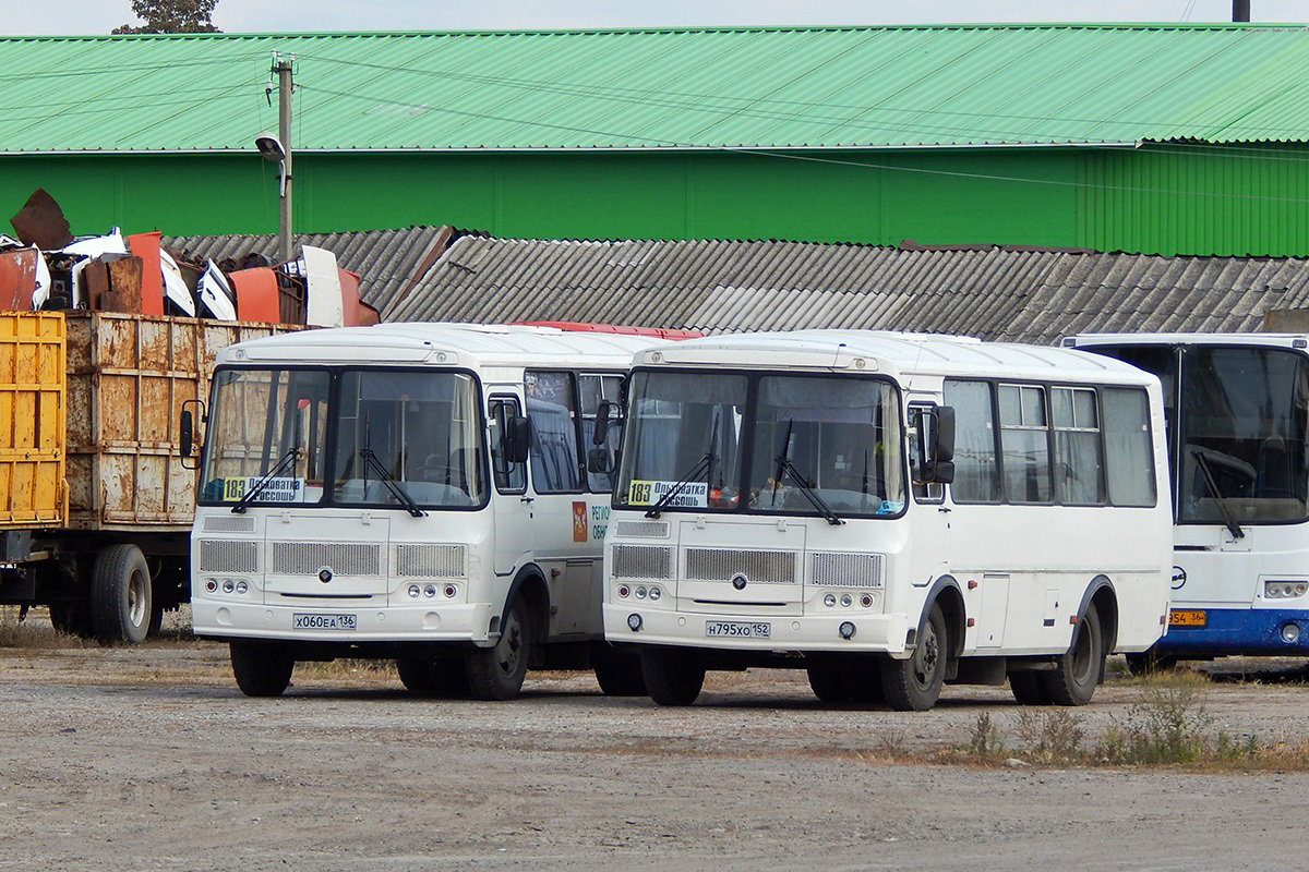 Воронежская область, ПАЗ-32054 № Н 795 ХО 152