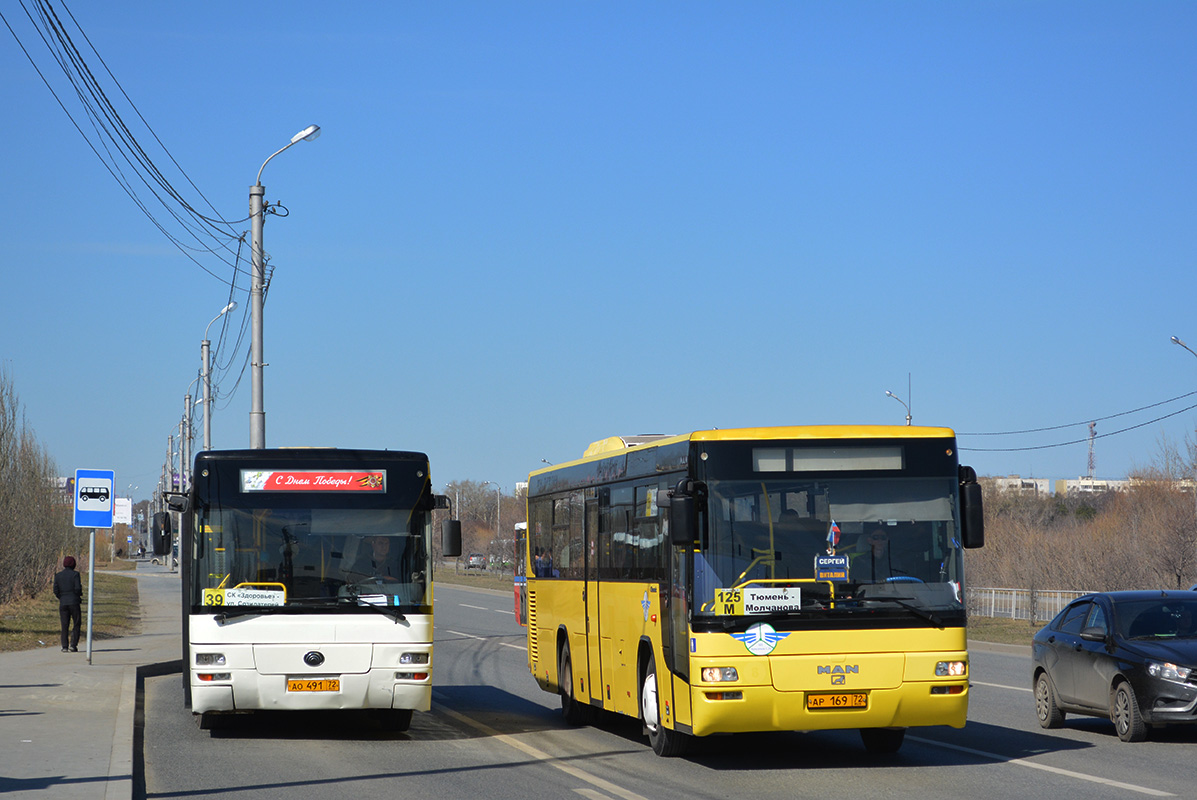 Тюменская область, Yutong ZK6118HGA № АО 491 72; Тюменская область, MAN A72 Lion's Classic SÜ313 № АР 169 72