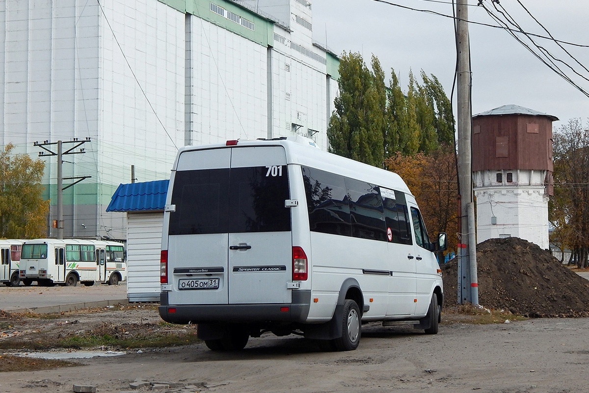 Белгородская область, Луидор-223201 (MB Sprinter Classic) № О 405 ОМ 31