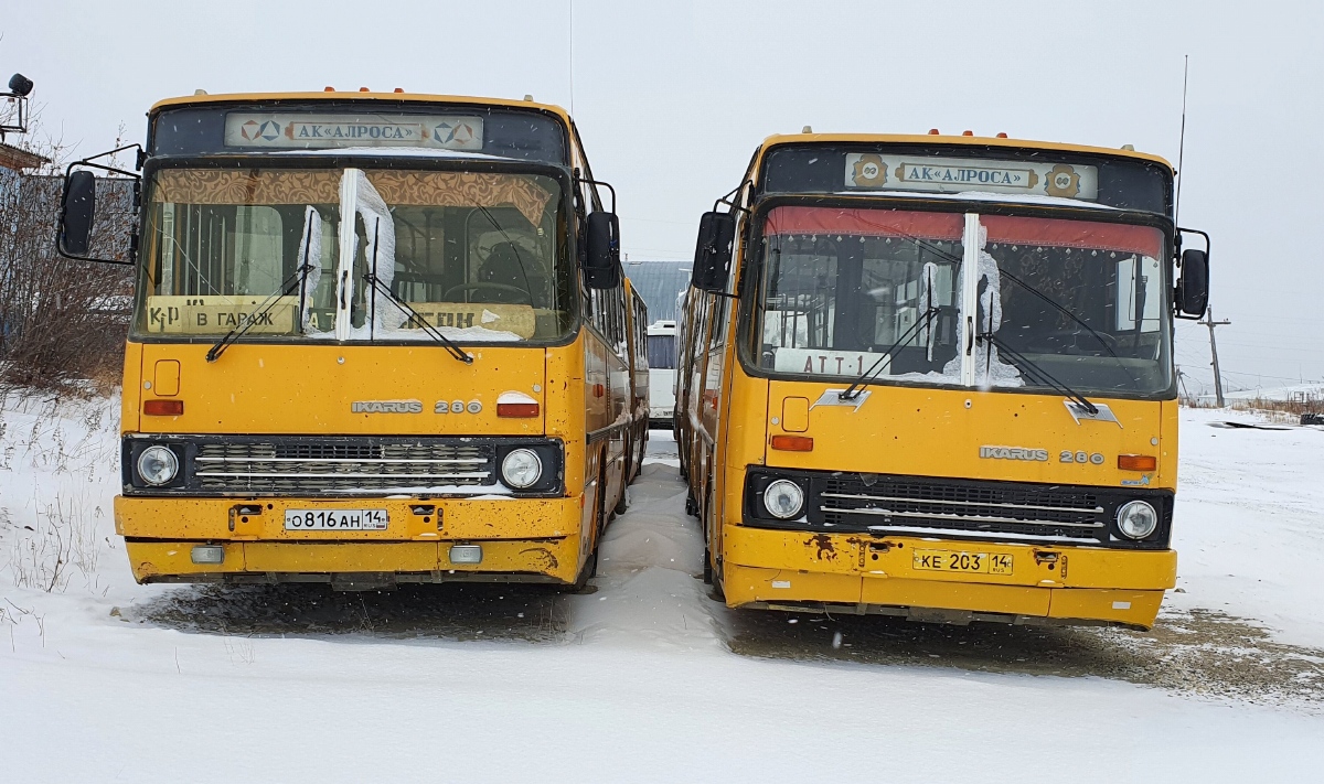 Sacha (Jakutsko), Ikarus 280.33N č. О 816 АН 14; Sacha (Jakutsko), Ikarus 280.33N č. 352