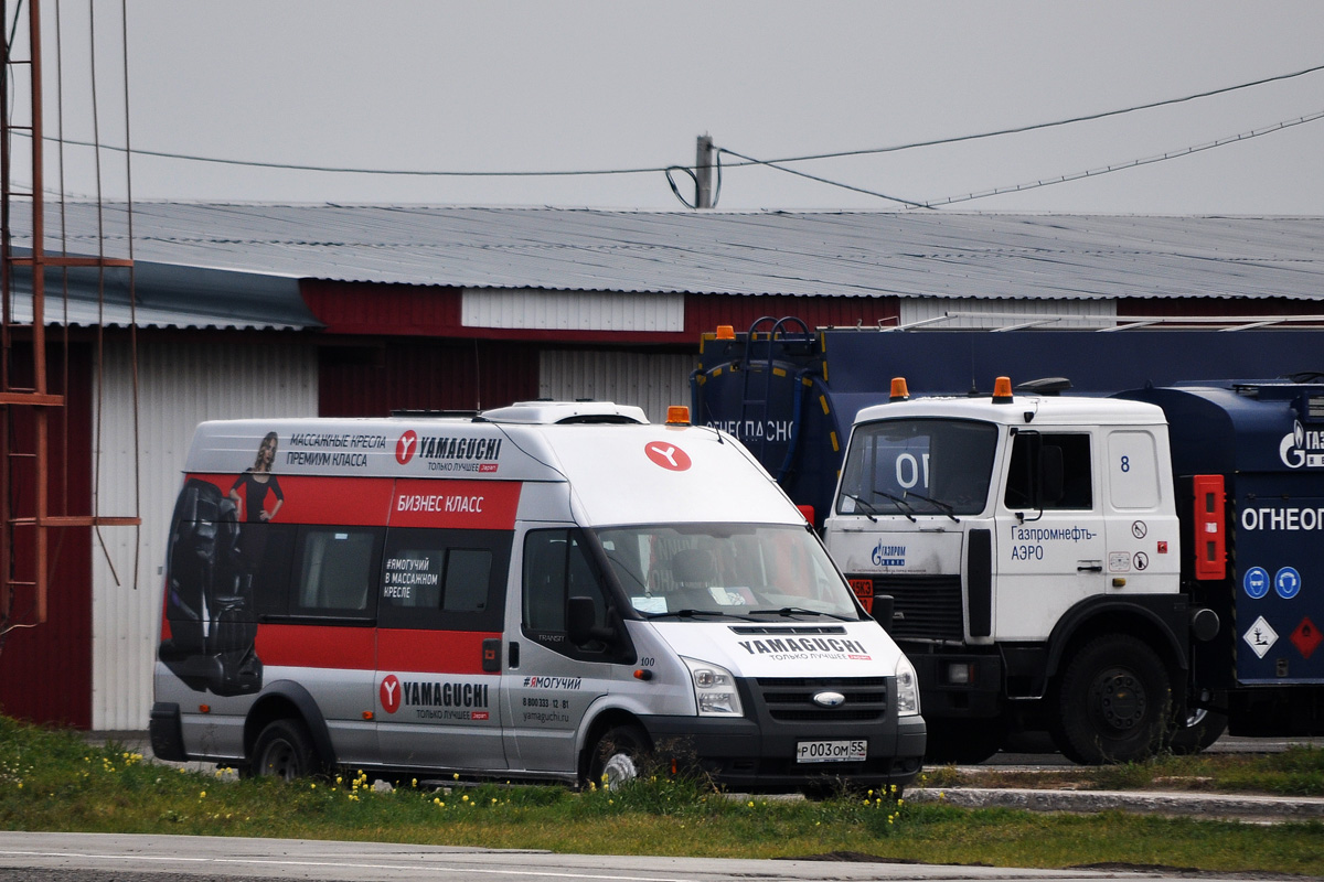 Омская область, Нижегородец-222701 (Ford Transit) № 100