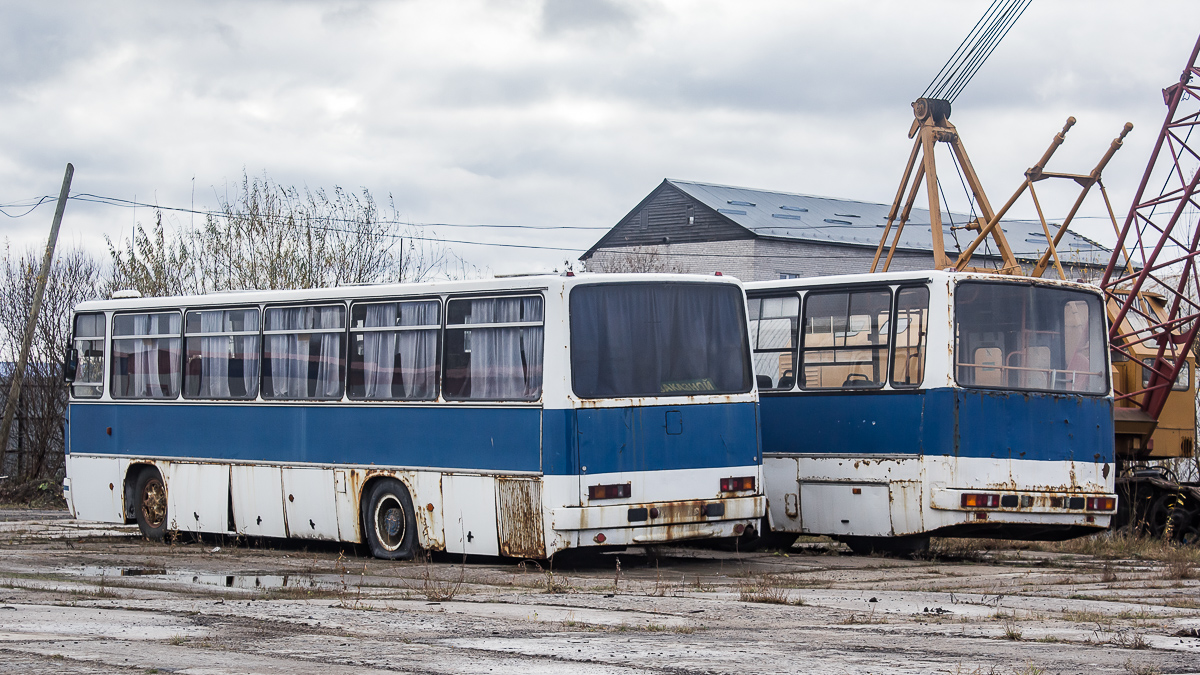 Архангельская область, Ikarus 256.74 № АС 111 29