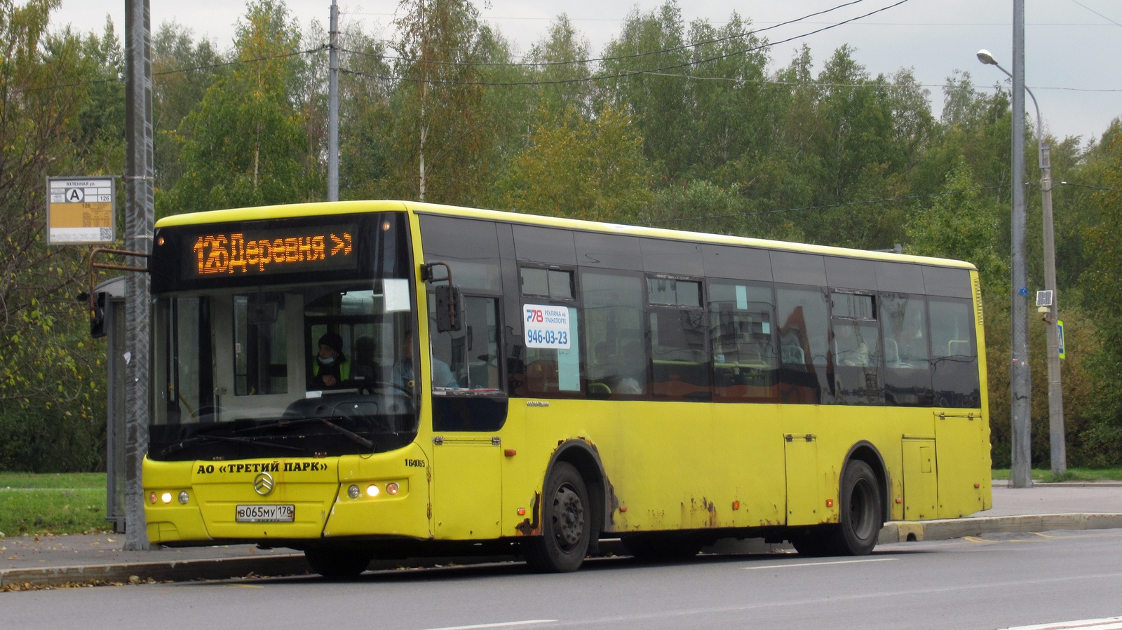 Санкт-Петербург, Golden Dragon XML6125CR № В 065 МУ 178