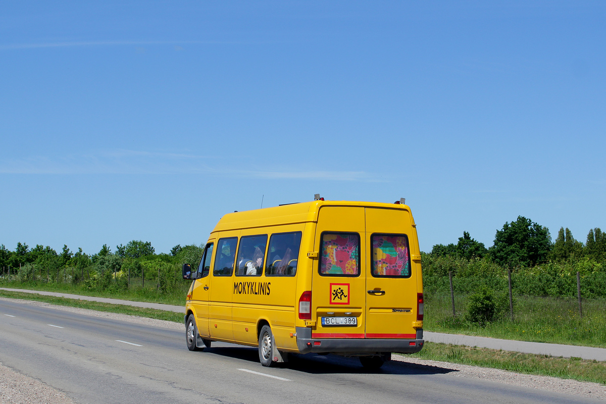 Литва, Mercedes-Benz Sprinter W903 311CDI № BCL 389