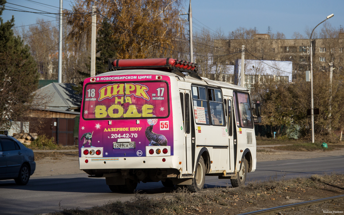 Новосибирская область, ПАЗ-32054 № Е 289 СА 154