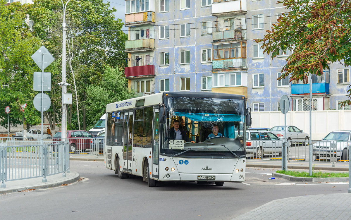 Гомельская область, МАЗ-206.063 № 036994