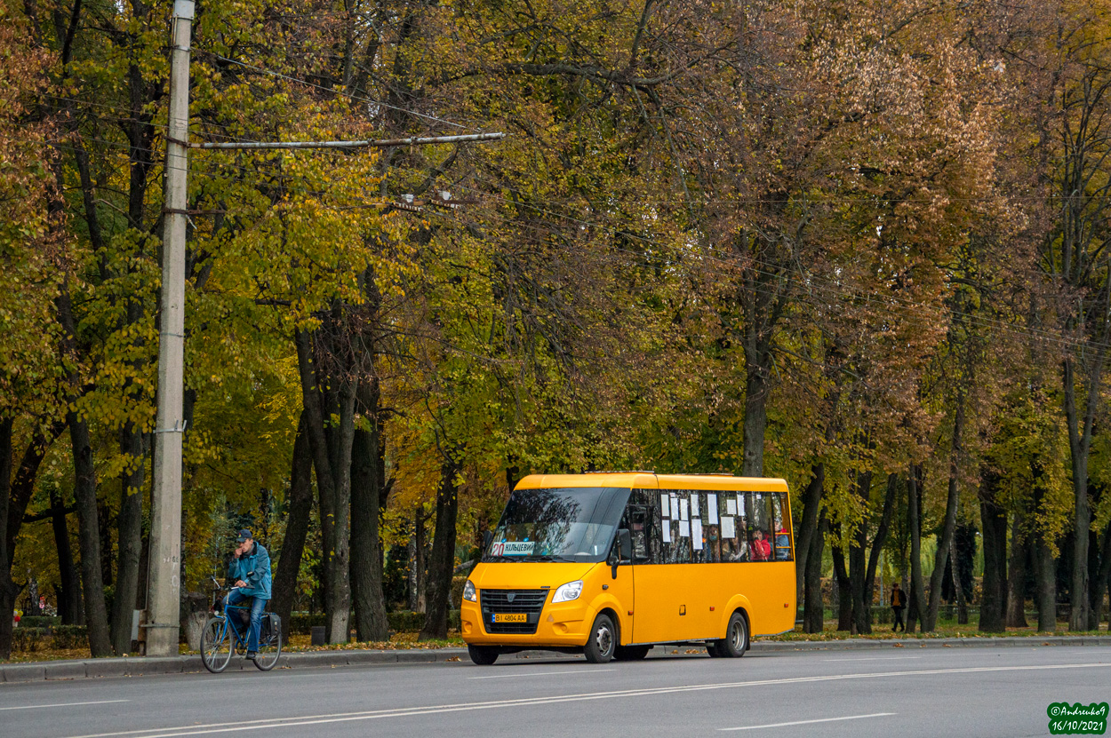 Полтавская область, Рута 25 № BI 4804 AA