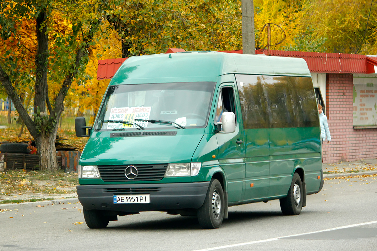 Днепропетровская область, Mercedes-Benz Sprinter W903 312D № AE 9951 PI