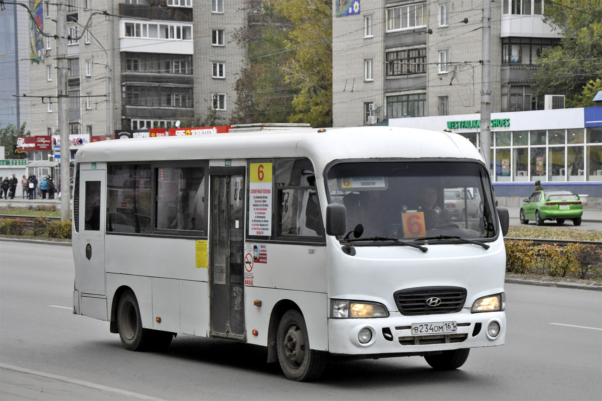 Алтайский край, Hyundai County LWB (ТагАЗ) № В 234 ОМ 161