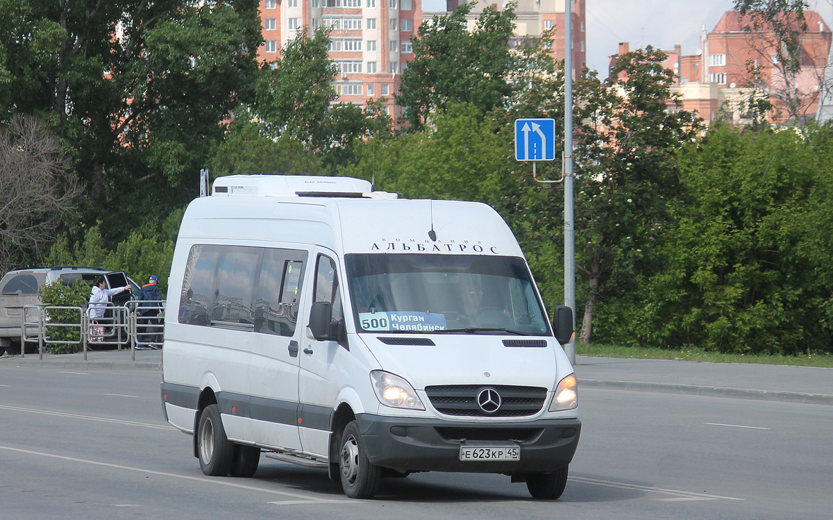 Курганская область, Луидор-223602 (MB Sprinter) № Е 623 КР 45