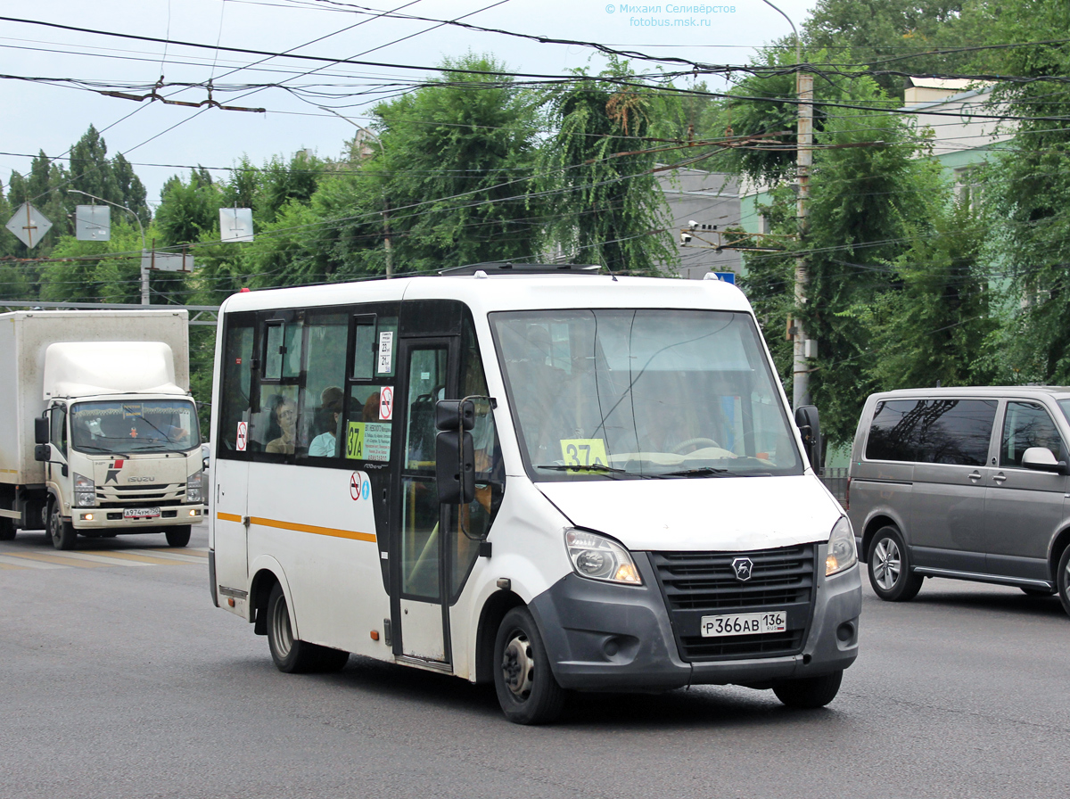 Воронежская область, ГАЗ-A64R42 Next № Р 366 АВ 136