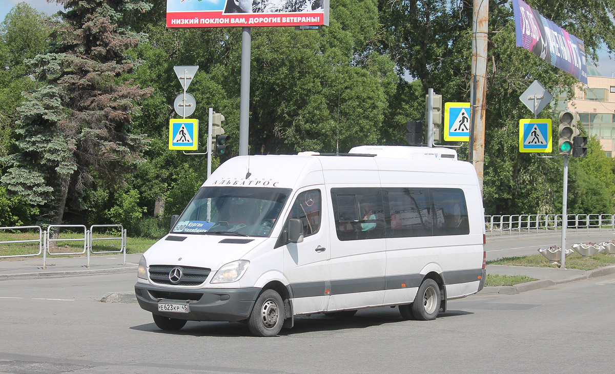 Курганская область, Луидор-223602 (MB Sprinter) № Е 623 КР 45