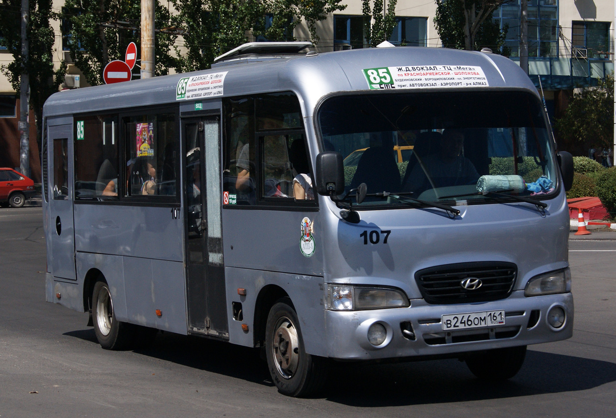 Ростовская область, Hyundai County LWB C11 (ТагАЗ) № 107