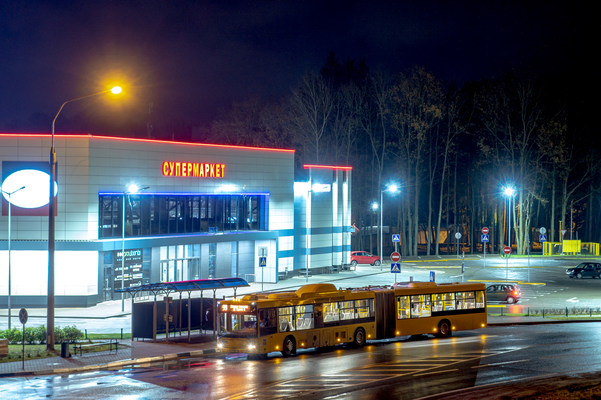 Minsk, MAZ-215.069 č. 026344