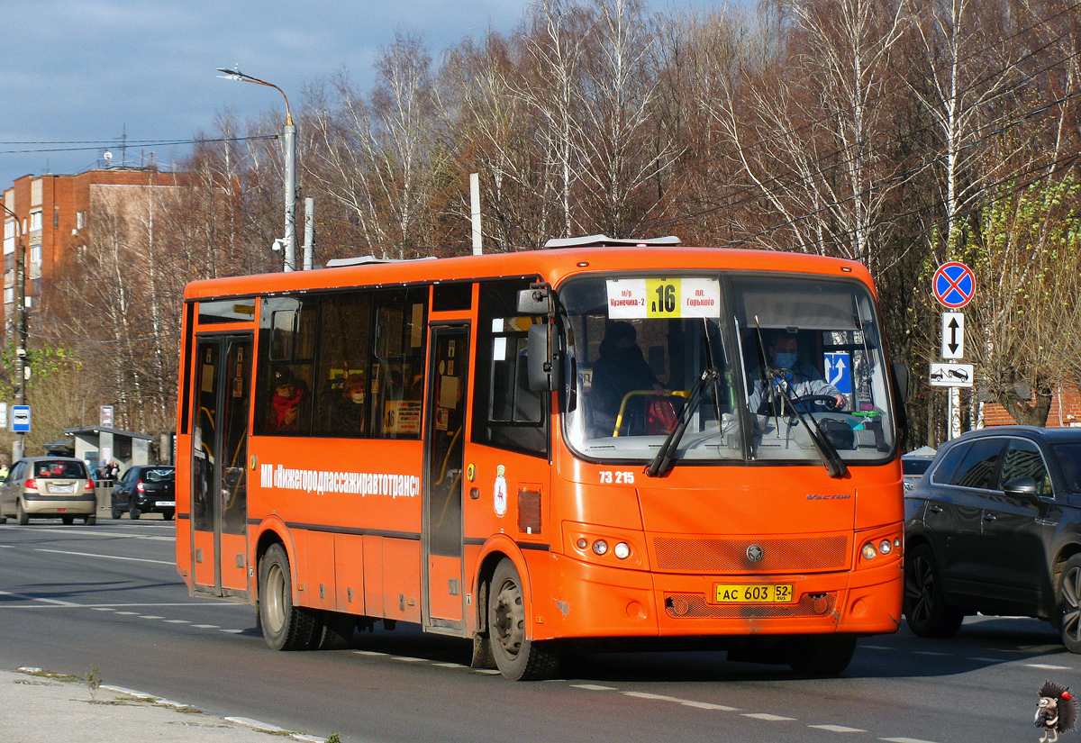 Нижегородская область, ПАЗ-320414-05 "Вектор" (1-2) № 73215