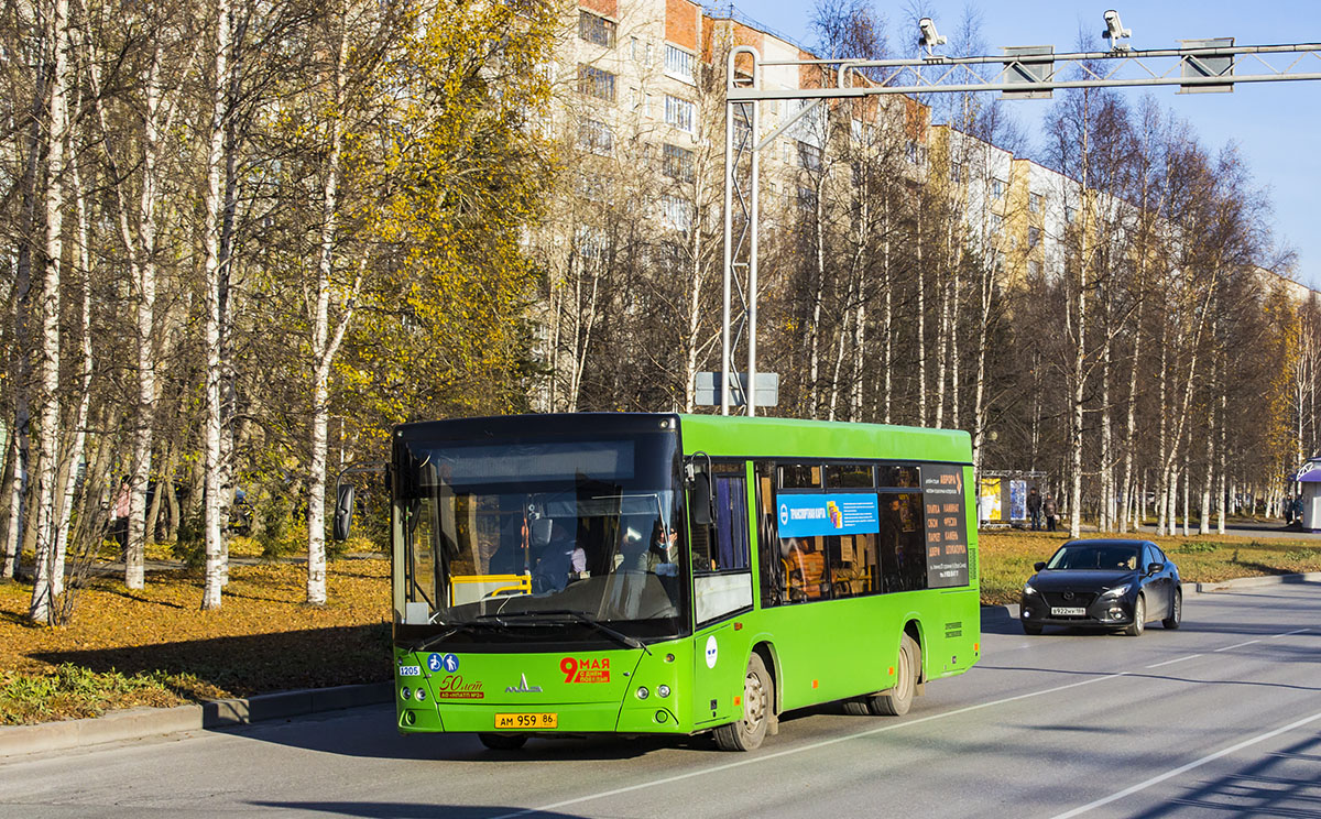 Ханты-Мансийский АО, МАЗ-206.068 № 1205