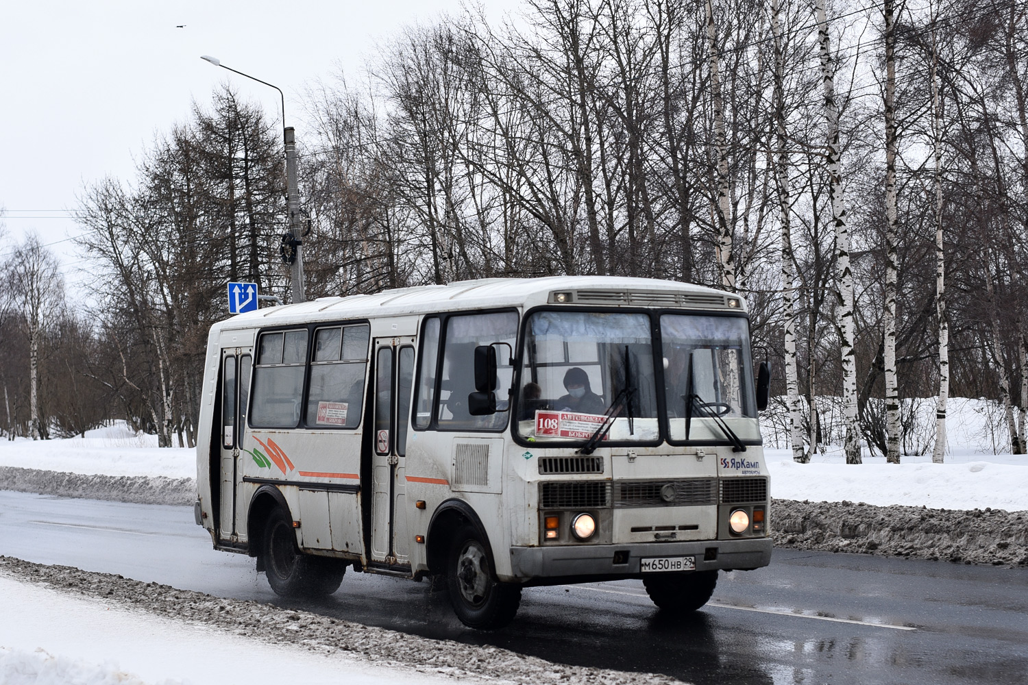 Архангельская область, ПАЗ-32054 № М 650 НВ 29