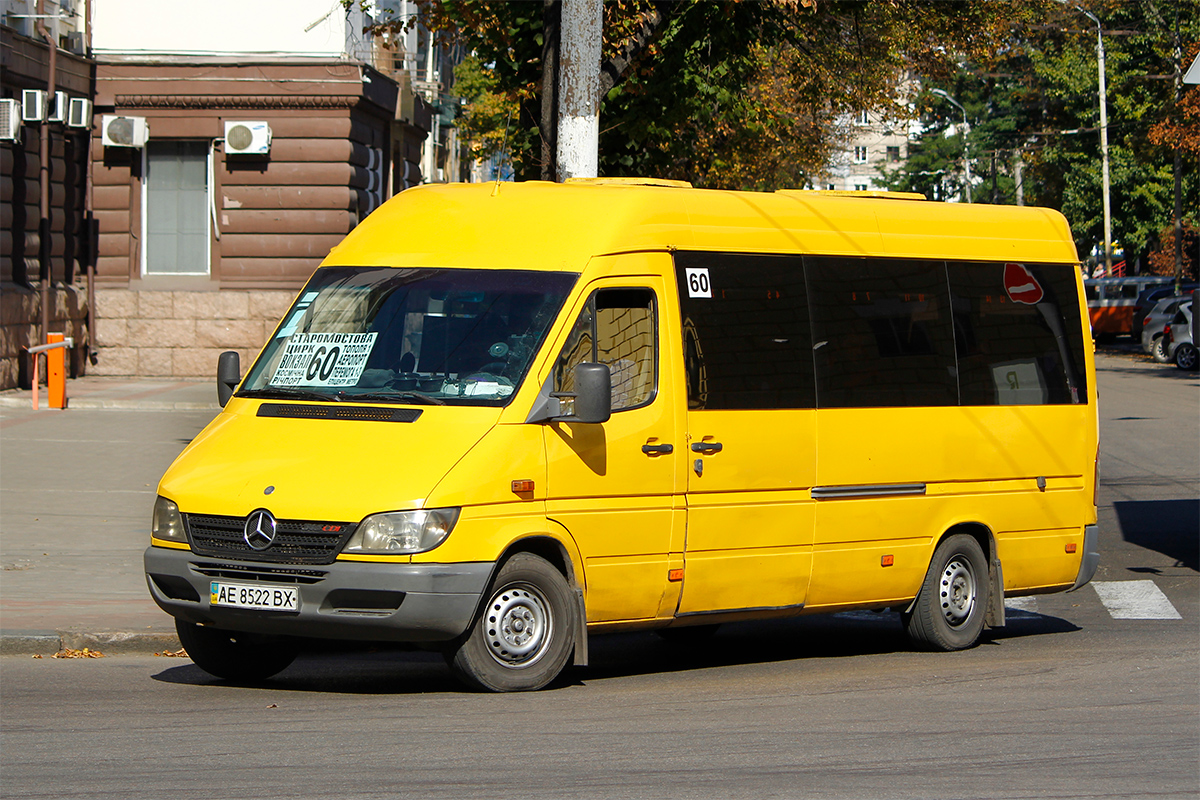 Днепропетровская область, Mercedes-Benz Sprinter W903 313CDI № AE 8522 BX