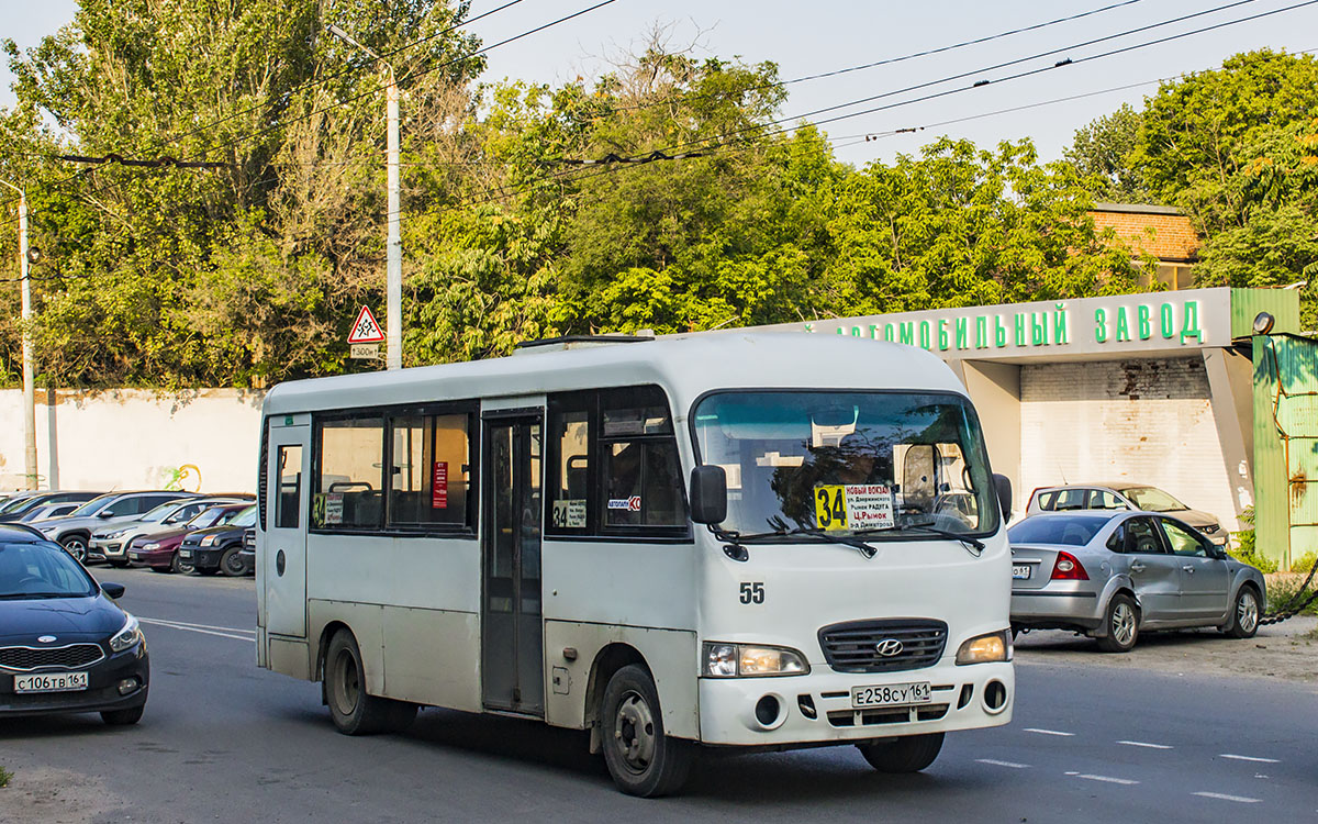 Ростовская область, Hyundai County LWB C09 (ТагАЗ) № 55