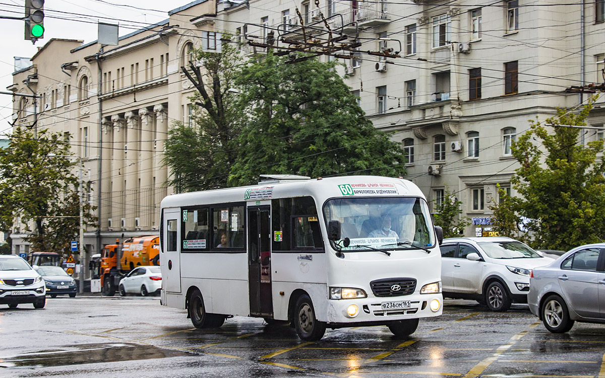 Ростовская область, Hyundai County LWB C11 (ТагАЗ) № В 236 ОМ 161