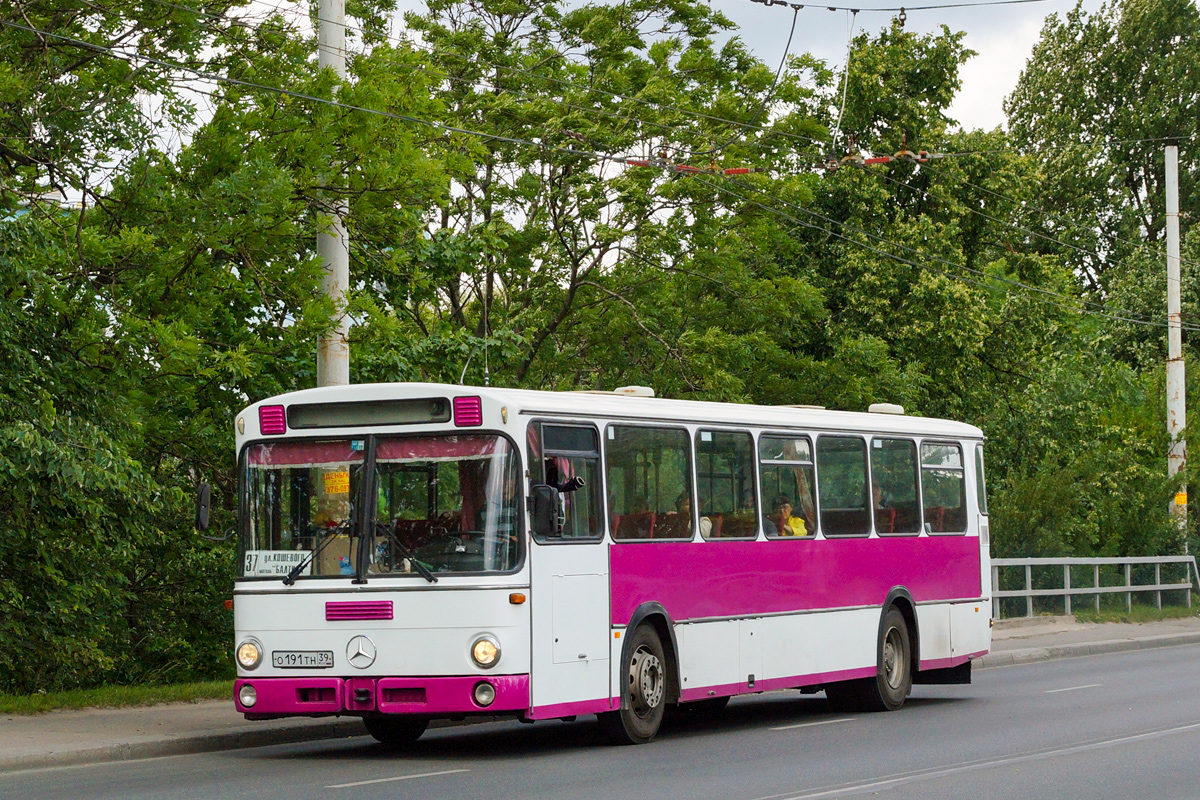 Kaliningrad region, Mercedes-Benz O307 # О 191 ТН 39