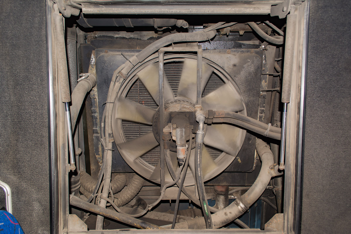 Калининградская область, МАЗ-103.С62 № Р 512 ВТ 39