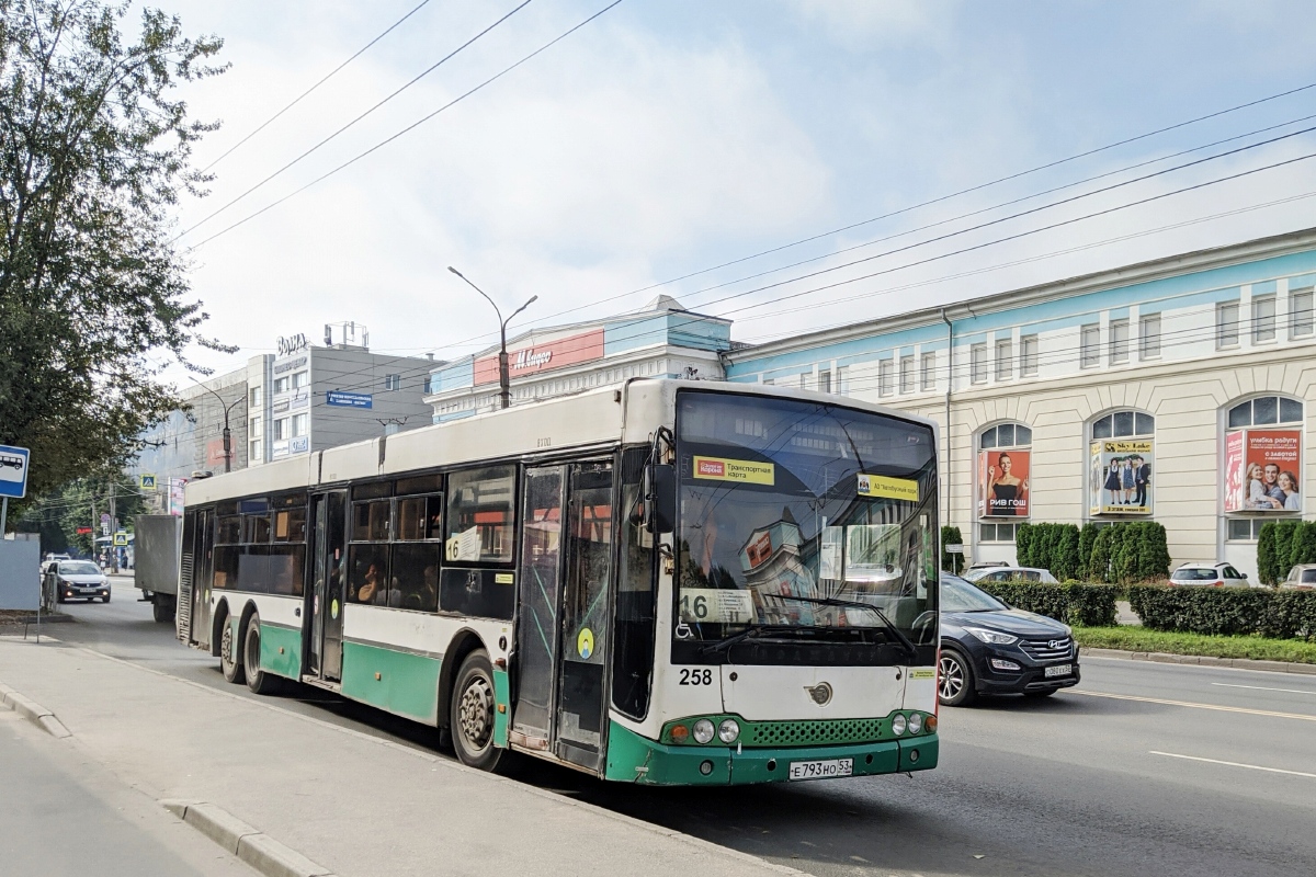 Новгородская область, Волжанин-6270.06 