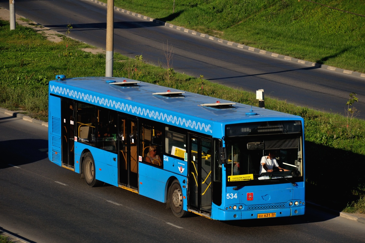 Тульская область, Волжанин-5270-20-06 "СитиРитм-12" № 534