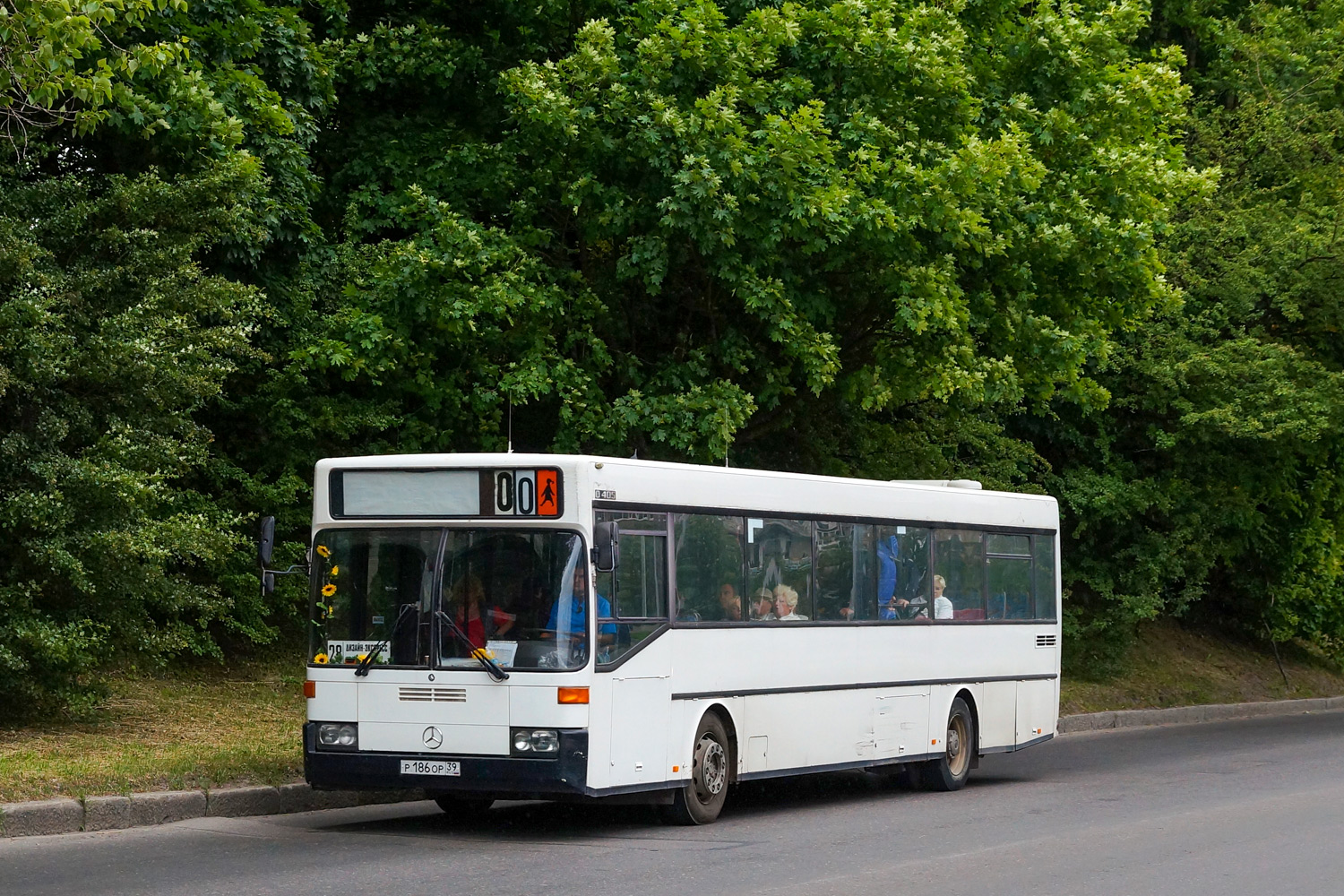 Калининградская область, Mercedes-Benz O405 № Р 186 ОР 39