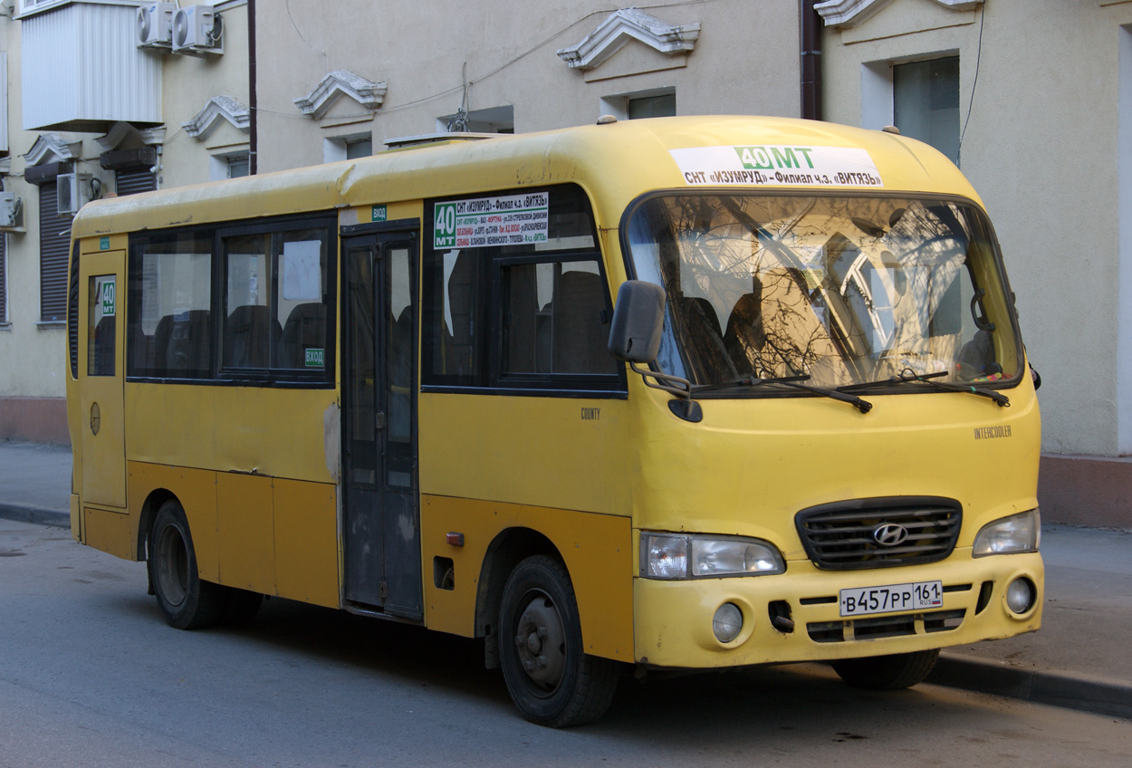 Ростовская область, Hyundai County LWB C11 (ТагАЗ) № 02073