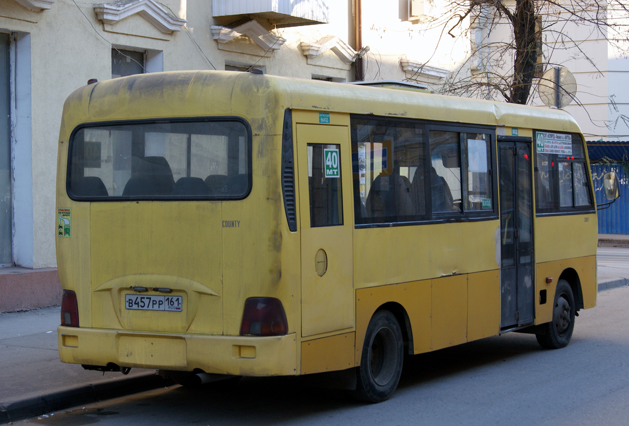 Ростовская область, Hyundai County LWB C11 (ТагАЗ) № 02073