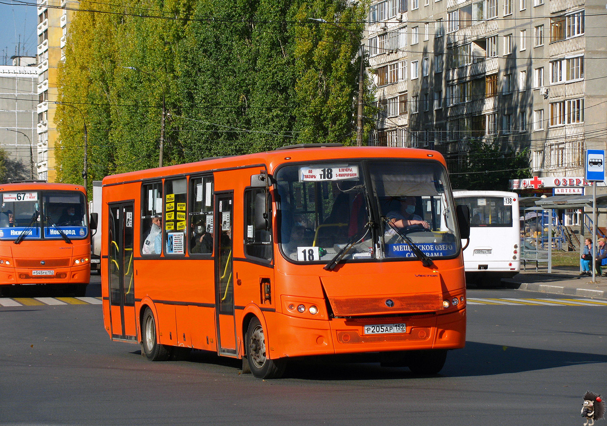 Нижегородская область, ПАЗ-320414-05 "Вектор" № Р 205 АР 152