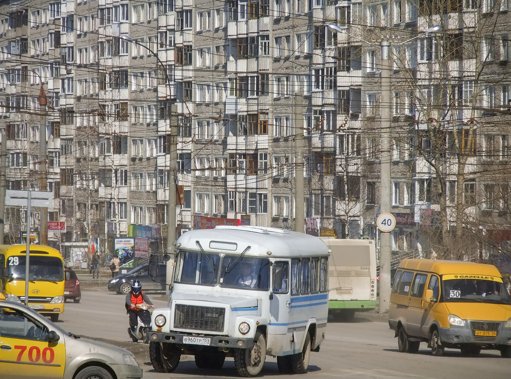 Пермский край, Hyundai County Kuzbass № В 956 АЕ 159; Пермский край, КАвЗ-3976-020 (397620) № В 960 ТР 159