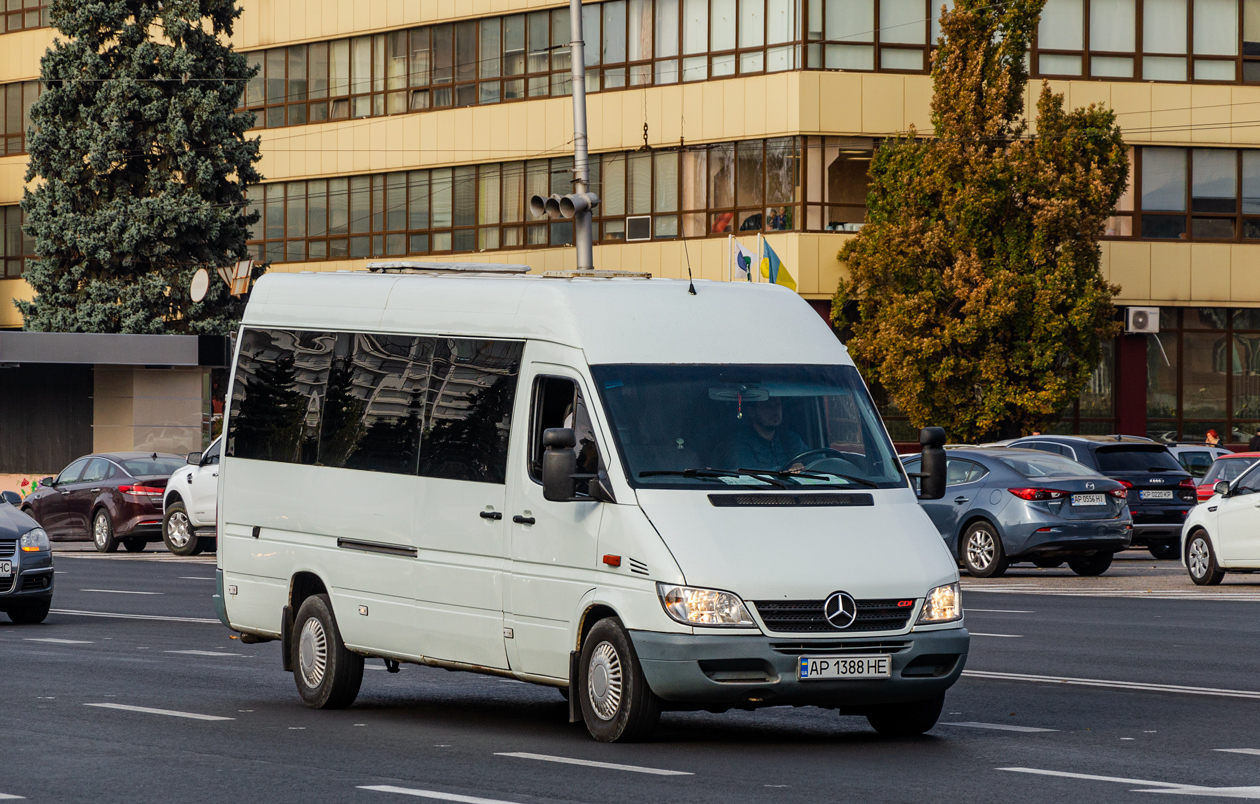 Запорожская область, Mercedes-Benz Sprinter W903 316CDI № AP 1388 HE