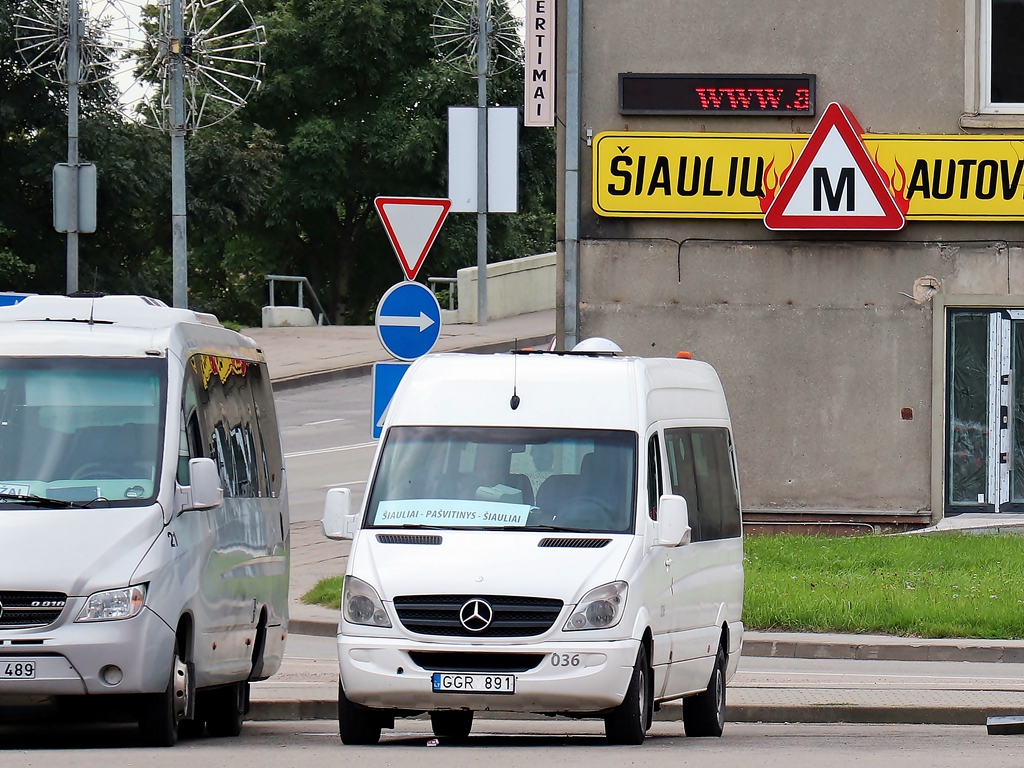 Литва, Mercedes-Benz Sprinter W906 315CDI № 036