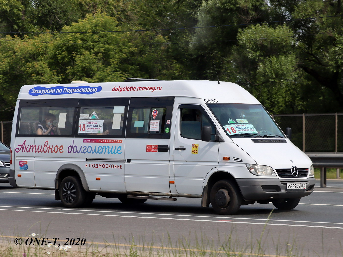 Московская область, Луидор-223203 (MB Sprinter Classic) № 0659