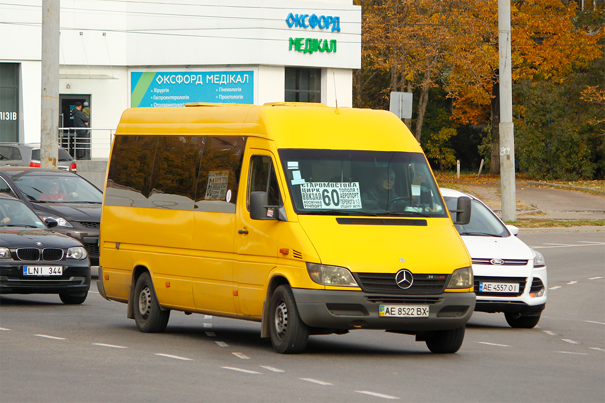 Днепропетровская область, Mercedes-Benz Sprinter W903 313CDI № AE 8522 BX