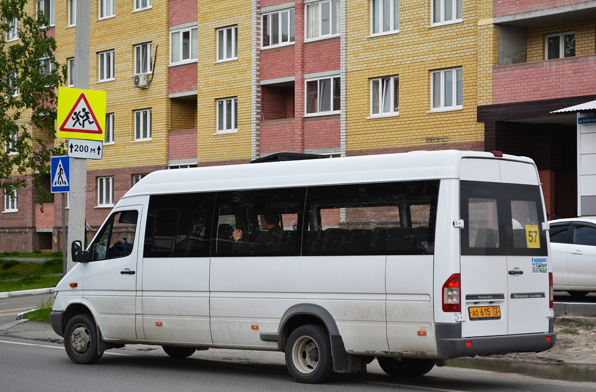 Tumen region, Luidor-223203 (MB Sprinter Classic) # АО 615 72